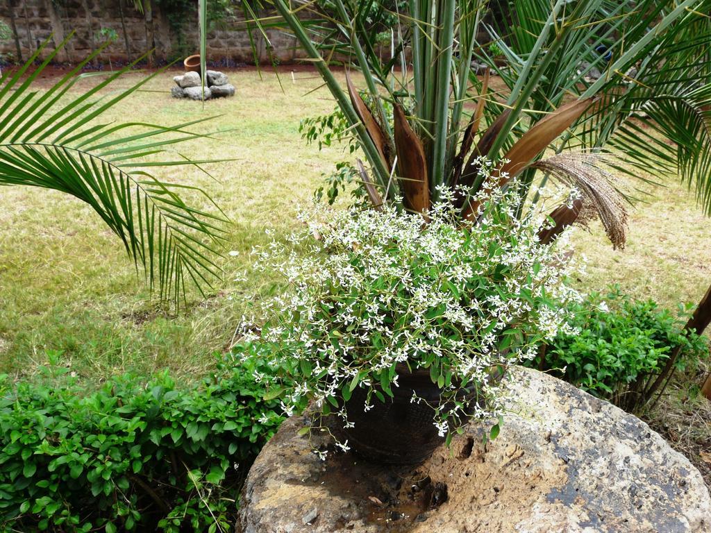 Maison Mitwaba ナイロビ エクステリア 写真